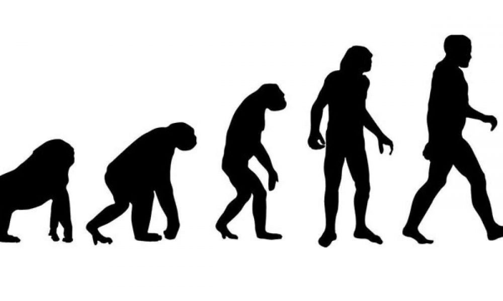 evolution