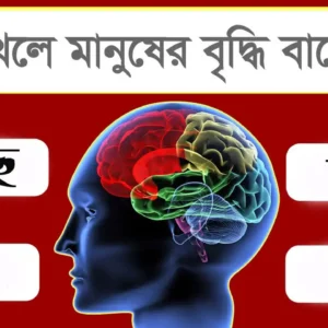 কি খেলে বুদ্ধি বাড়ে - ব্যাখ্যা করুন