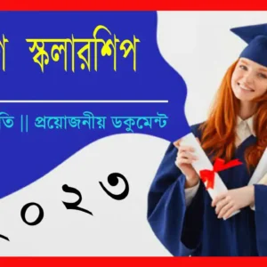 বিদেশে স্কলারশিপ পাওয়ার যোগ্যতা