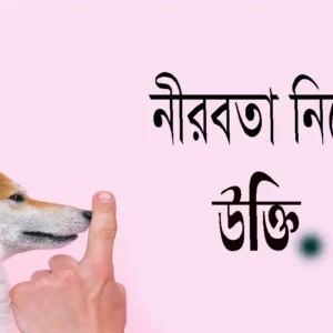 নীরবতা নিয়ে উক্তি