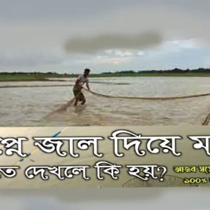 স্বপ্নে জাল দিয়ে মাছ ধরতে দেখলে কি হয় ?