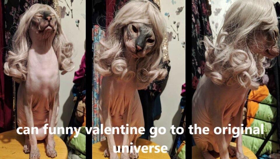 Can Funny Valentine Go to the Original Universe? Exploring the Possibilities
